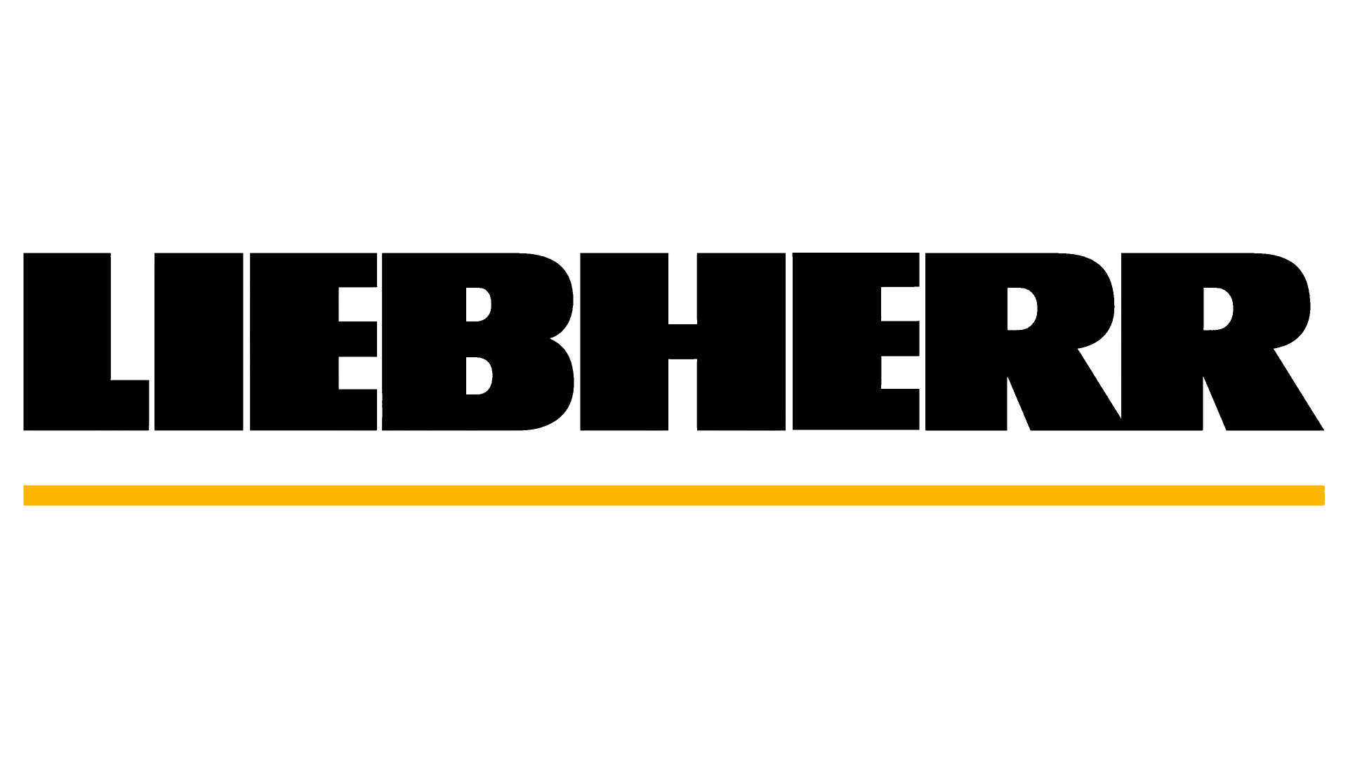 Liebherr crane rental fleet logo — Richi Crane Service India